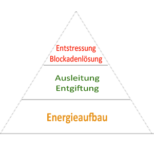 Holopathie